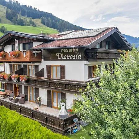 Pensionat Theresia Dorfgastein